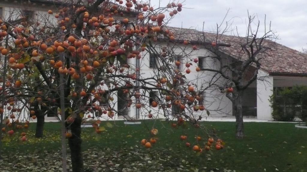 Caspineda Agriturismo モンテベッルーナ エクステリア 写真